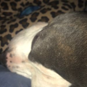 Meet your Posher, Gaby